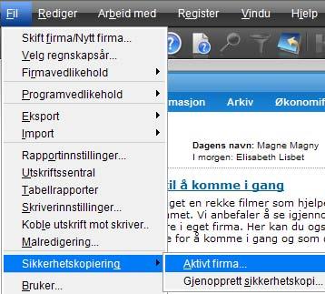 Sikkerhetskopi For å ta en sikkerhetskopi av firmaet