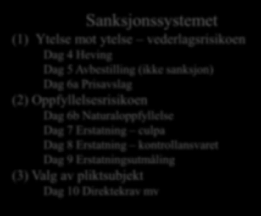 Dag 6a Prisavslag (2) Oppfyllelsesrisikoen Dag 6b