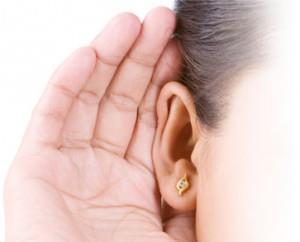 øret og frem til hjernebarken (cortex) Hørselssansen viktig for