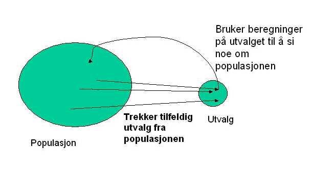 Datainnsamling Populasjon: Mengda vi ønskjer å studere.