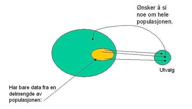 Utvalg: Ei delmengde av ein populasjon, som vi så velger å studere.