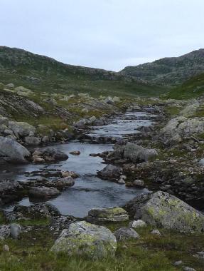 ph var 6,, og bufferkapasiteten (ANC) var over 38 μekv/l etter korreksjon for organisk karbon.