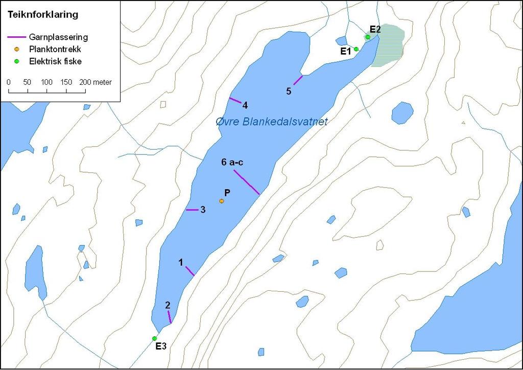 Figur 11. Øvre Blankedalsvatnet med garnplassering og stasjonar for elektrisk fiske og planktontrekk. 4.