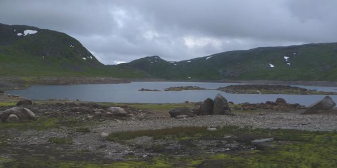 svært mykje, noko som kan tyda på at rekrutteringa har vanskelege vilkår somme år slik at nokre årsklassar blir små, men då fangsten var relativt liten blir konklusjonane usikre.