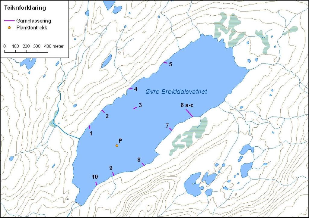 Figur 14. Øvre Breiddalsvatnet med garnplassering og stasjon for planktontrekk. 4.2.5.1 Fisk Øvre Breiddalsvatnet vart prøvefiska med 12 botngarn (figur 14.).