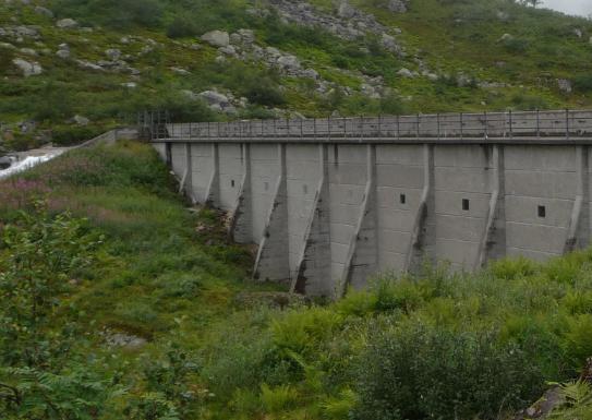 år (Gladsø og Hylland 23). Det vart då berre fanga 3 årsklassar på garn, medan det ved elektrisk fiske vart påvist yngel i gytebekkane i nord, noe det også vart i 1996 (Hellen & Bjørklund 1997).