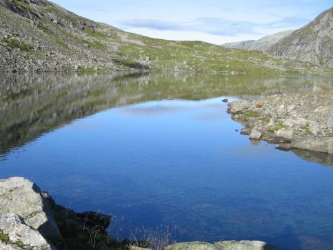 4.2.9.2 Dyreplankton Det vart teke to hovtrekk i Høgsvatnet, eit vertikalt og eit horisontalt. Innhalde i prøvane var relativt likt (vedlegg 1).