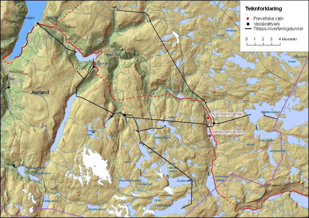 4.3 Resultat frå dei einskilde lokalitetane hjå E-CO Vannkraft Det vart undersøkt to vatn hjå E-CO Vannkraft i 29.