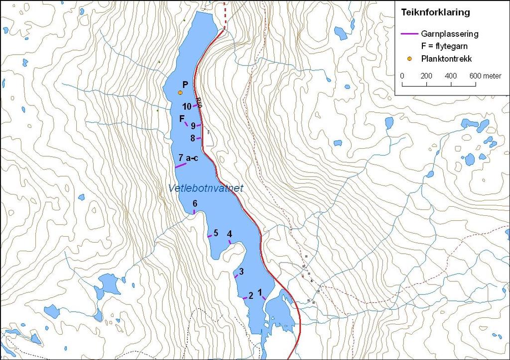 Vetlebotnvatnet med garnplassering og stasjonar for elektrisk fiske og planktontrekk. 4.3.1.