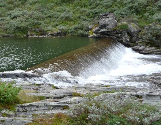 1 m 2 garnareal, men grunna mykje drivved som reduserte fangstarealet på garna er det mogleg at bestanden er tettare.