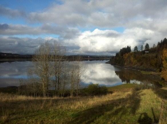 Suteren ved Glomma. Foto: Bård Kollerud Regionalt miljøprogram for jordbruket i Østfold (RMP) skal stimulere bønder til å gjøre tiltak mot forurensing.