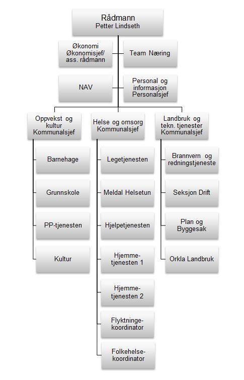 5.1 ORGANISEIRNG AV HELSE- OG SOSIALTJENESTSER I MELDAL KOMMUNE Vi ser av kommunens administrative