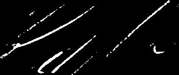 00 Total 21,529,308 783 8,189 21,538,280 0 21,538,280 Agenda item 13 Authorisation to the Board to increase the share capital in connection with the option program Ordinær 13,246,232 8,283,859 8,189