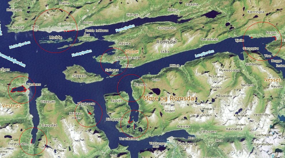 NIVA 7134-2017 5 Beskrivelse av forekomstene I 2015 registrerte vi alt fra små isolerte flekker (minste areal var 4 m2) til store enger (største areal var ca. 150 000 m2. Figur 1).