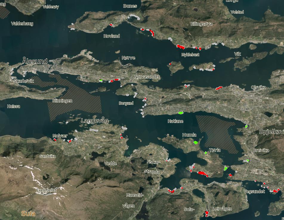 NIVA 7134-2017 Figur 3. Ålegrasengene avgrenset i Borgundfjord- og Ellingsfjordsystemet. Engene med B (regional) verdi (7 stykker) vises i grønt, engene med (lokal) verdi vises i rødt.