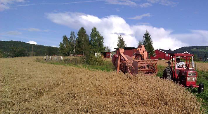 sesong hvor kvalitet på hveten er sterkt redusert og det er arealer som ikke er høstet. Det er feil at kvalitet ikke er med som et kriterium for avlingsskadetrygd!