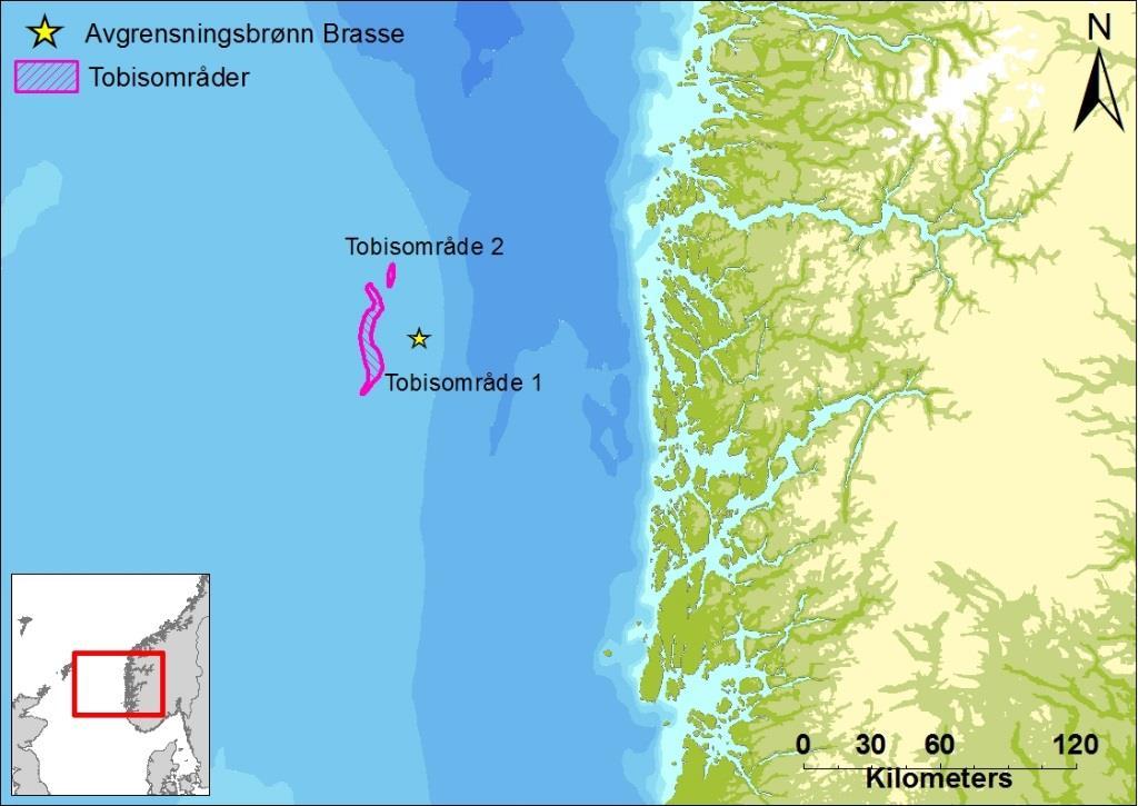 1 INTRODUKSJON DNV GL har på oppdrag fra Faroe Petroleum gjort en vurdering av mulige effekter på tobis ved en utblåsning fra avgrensningsbrønn Brasse.