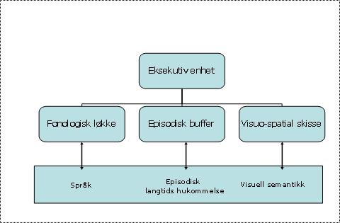 visuell art. I mellom disse to systemene finner vi den episodiske buffer. Oppgaven til bufferen er å lagre og integrere informasjon av både språklig og visuo-spatial art(lian, 2007). Figur 3.