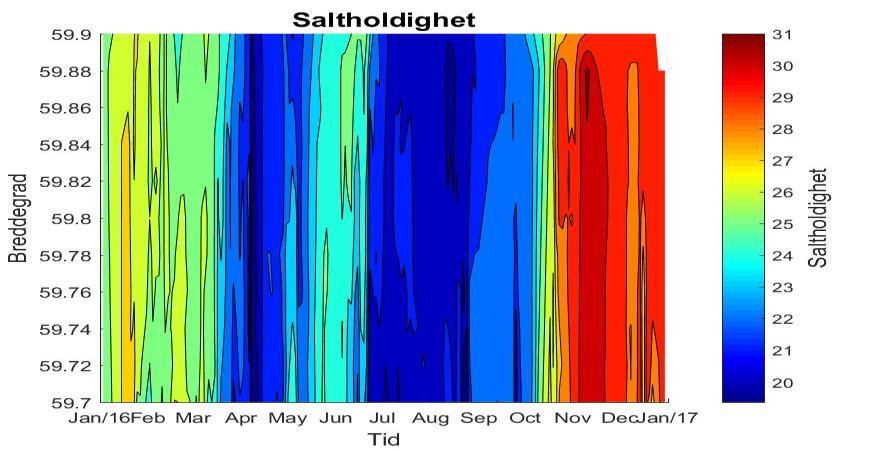 Saltholdigheten i Vestfjorden er plottet i Figur 28, Figur 29 og Figur 30. Senhøst og vinterstid på slutten av året var preget av svært salt vann, tidvis over 30 saltholdighet.