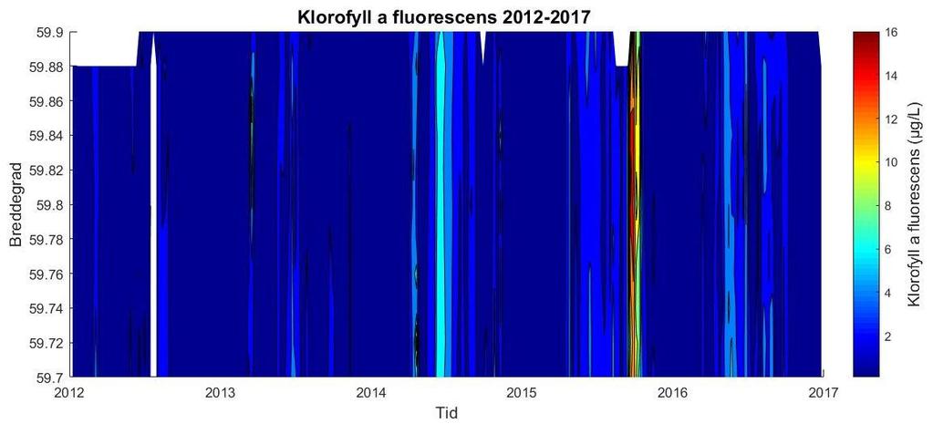Figur 35. Plott av sensordata for klorofyll a på strekningen i Vestfjorden 59,7-59,9 N for 2016. Vårblomstringen kom i midten av mars, mens det var høyest konsentrasjon i høstblomstringen.