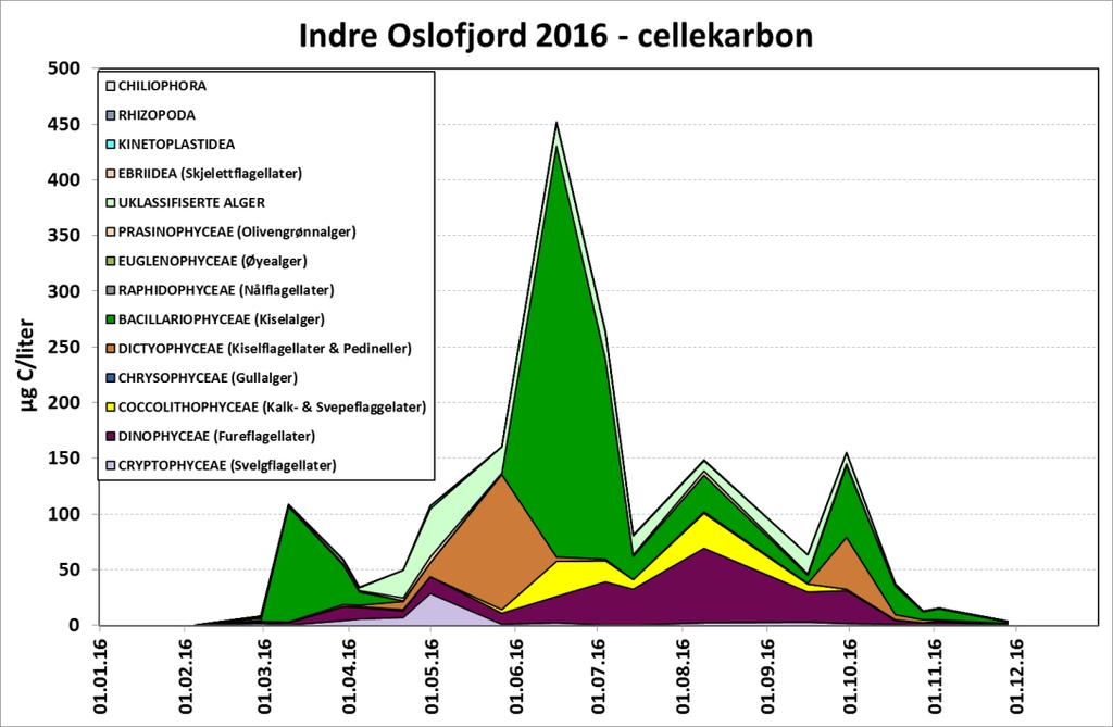 Planteplankton i Vestfjorden på 4 meters dyp 2016 I 2016 var den årlige algebiomassen svært lav, og en må tilbake til 2006 for å finne en lavere årsbiomasse (Tabell 5).