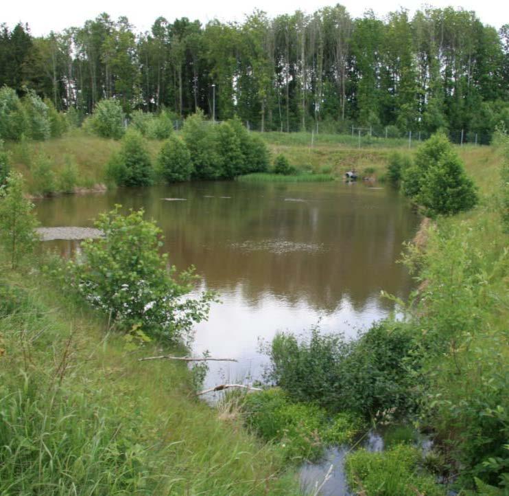 Miljø Luftkvalitet og støy Naturmangfold Utslipp til vann og