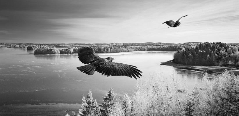 Om Hugin & Munin I ODIN Forvaltning ønsker vi å bære med oss vår nordiske kulturarv inn i fremtiden.