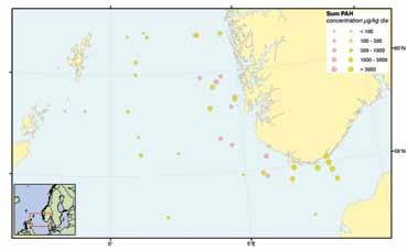 Finkornete sedimenter i Norskerenna inneholder forhøyete nivåer av PAH sammenlignet med mer sandholdige sedimenter i grunnere deler av Nordsjøen.