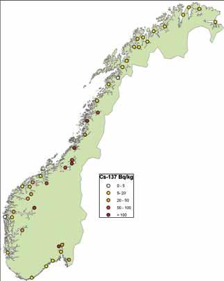 Radioaktiv forurensning i sedimenter i Barentshavet, Laksefjorden og Sognefjorden Nivået av radioaktiv forurensning i sedimenter i norske havområder er relativt lavt.