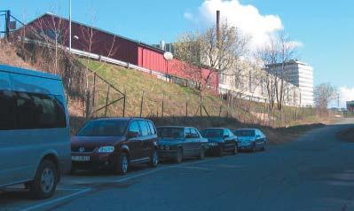 Vestre parkdrag ligger i mindre sidebratt terreng og har mindre eksisterende trær enn Østre parkdrag, og det kan derfor være lettere å innpasse aktiviteter her.