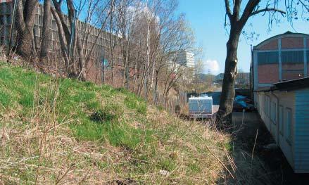 Bertrand Narvesens vei og Ensjøveien kan med fordel skje med opphøyde gangfelt. Forlengelsen av parkdraget forbi Ensjøplassen kobles til fortau i ny gate i Tyngdepunktet.