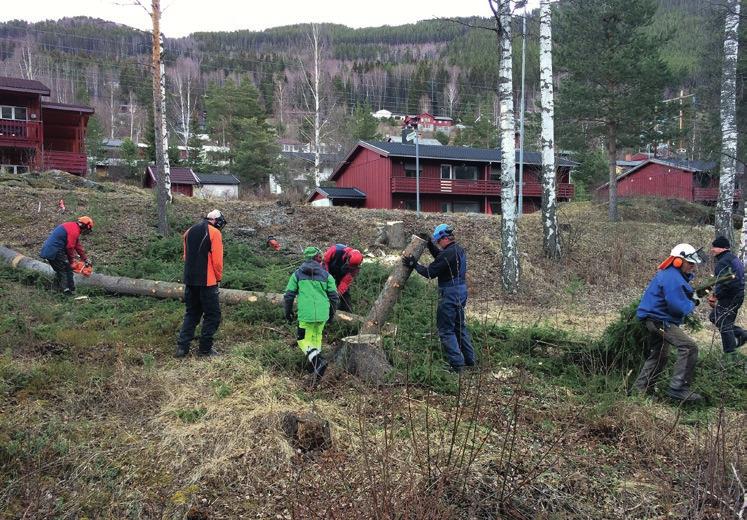 Planting av sommerblomster ved omsorgsboligene i Torstadvegen, Furuvegen og Rundingen, samt utsetting av hvilekrakker i Golreppen er en årlig dugnadsaktivitet.