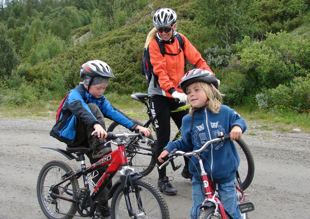 «Gjennom Arena Helse i Valdres møter