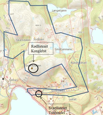 På Rovbasen (DN) er det ikke registrert spesiell aktivitet fra store rovdyr i eller i nærheten av planområdet. Alle kommunene i Vest-Agder, deriblant Sirdal kommune, har kartlagt biologisk mangfold.