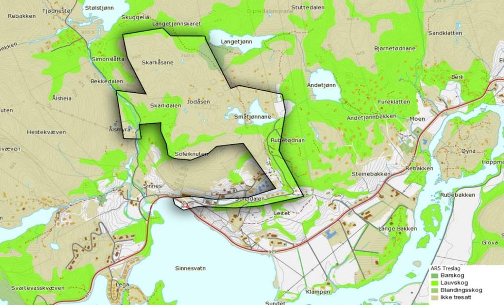 fra Arealis er skogen i området lav bonitet, og er klassifisert som uproduktiv. Vegetasjonen er relativ glissen, og tresjiktet strekker seg opp til omkring 10 m på det høyeste.