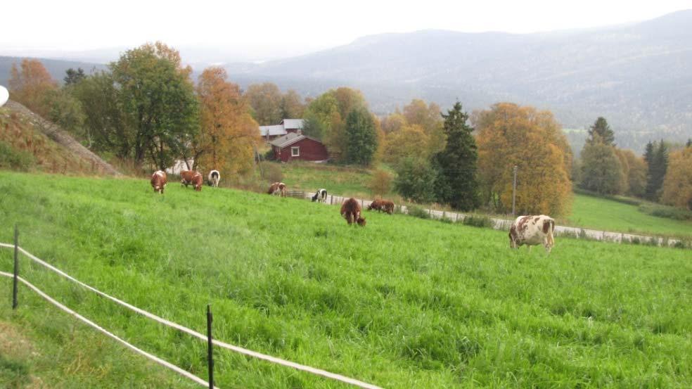 Oppland er et fylke med store grasressurser, og utmarksbeite er en viktig del av ressursgrunnlaget for jordbruket. Hele 80 prosent av fylkets areal regnes som tilgjengelig utmarksbeite.