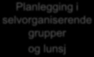 10:00-10:15 Gjennomgang av planleggingsprosessen 10:15-15:00 1 2 3 4 Utvikling av teamplaner, avklaringer med andre team, kartlegge