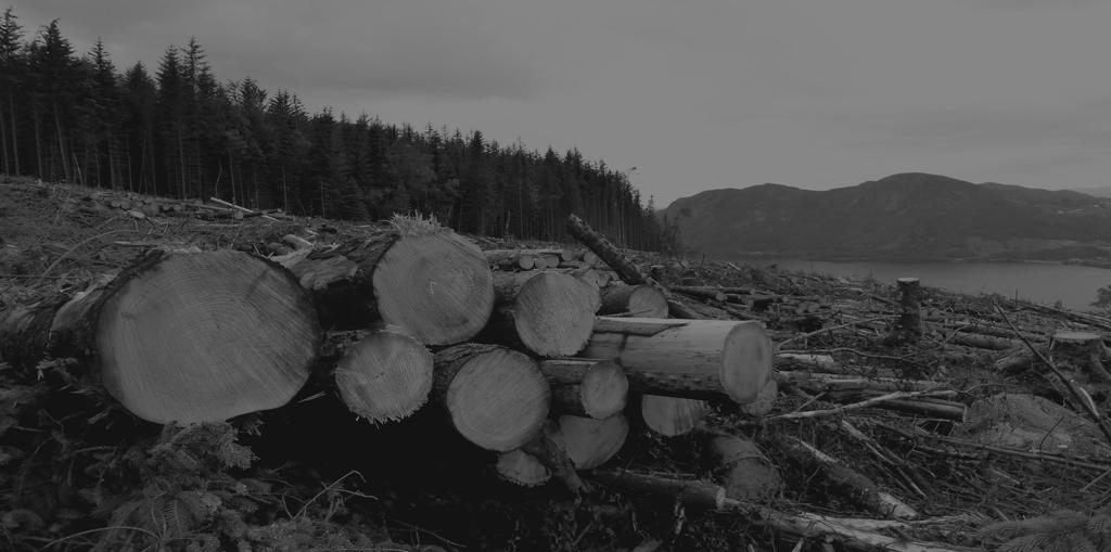 Skogselskapet, Fylkesmannen i Rogaland og Gjesdal kommune ønsker å invitere til seminar og årsmøte i Gjesdal kommune, der årets tema er «Arealbruk i en grønn framtid» Landbruket er en del av