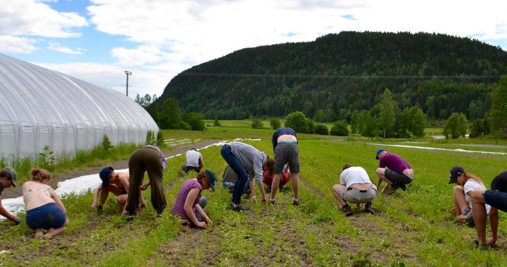 25.september 2.oktober Økouka Under ØKOUKA hadde Kooperativet to arrangementer, ostesmaking med Olavsbråten og avslutningsfesten for uka.