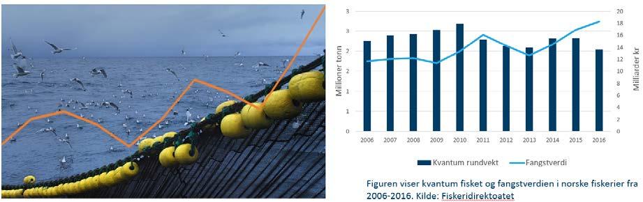 areal for videre ekspansjon. Dette gjelder spesielt lakseproduksjon, produksjon av tang og tare samt lavtrofisk produksjon.