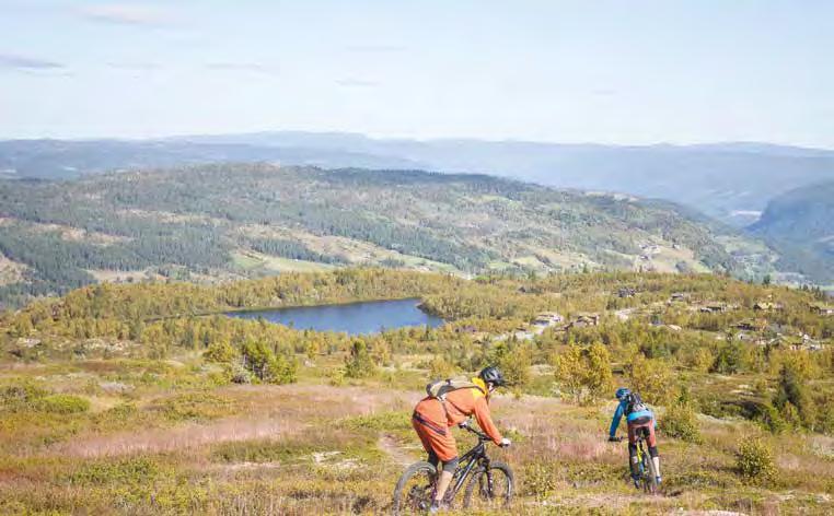 kledning og villmarkskledning Laft og slepplaft Takåser og Firkantboks Støyvegg, rekkverk og gjerde