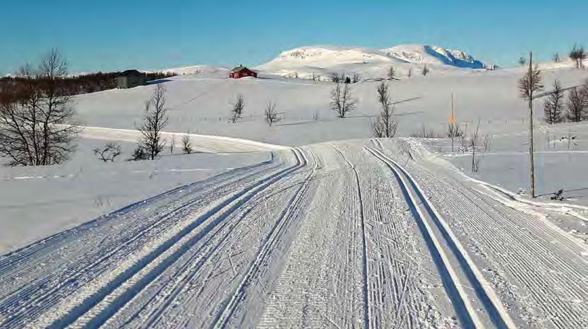 22 Hallingspretten Hallingspretten 23 Stor takk til våre HOVEDSPONSORER Bjella & Medgard as Gullhagen Anleggsdrift as Sigrids malerverksted Ål Geilo Trykk og Reklame Nettbuss Hallingdal Oddvard