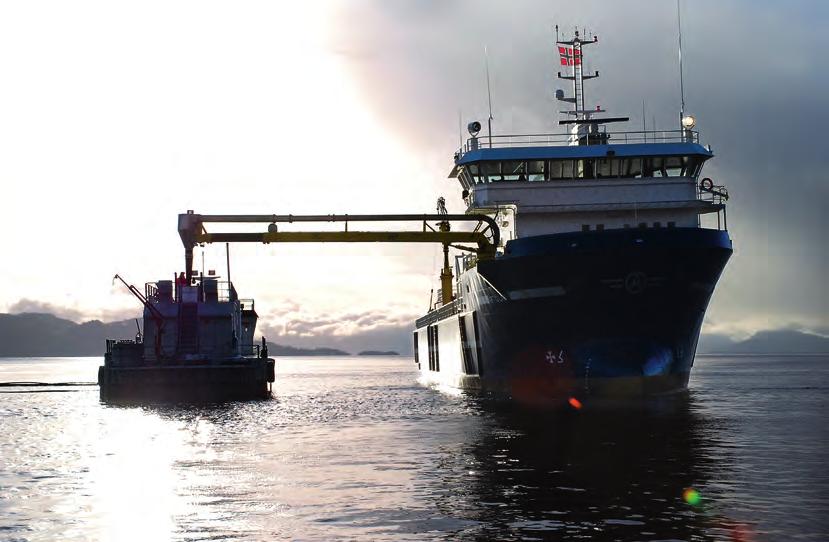 Foto: Cermaq 2.3.1 Nye forventninger til de statlig eide selskaper 2.3.1.1 Årsregnskap og årsberetning også på norsk Det er en hovedregel at norske selskaper skal utgi sin årsrapport på norsk.