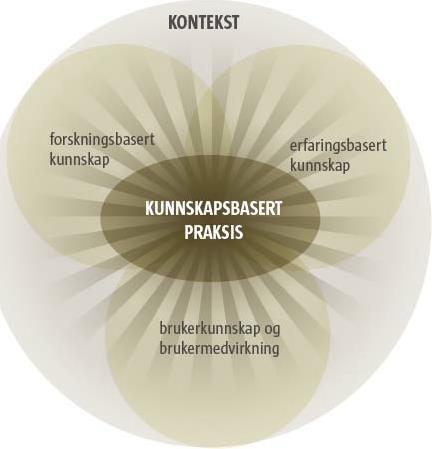 Å utarbeide faglige retningslinjer/fagprosedyrer er et konkret kvalitetsarbeid som kan sikre at intensivsykepleieren er kunnskapsbasert og faglig, etisk og juridisk forsvarlig.