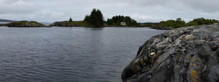 Figur 17 Vestre del av Grønholmane, sett frå nord Nærmaste bustad utanfor planområdet ligg i nord, om lag 40 m nord for fylkesvegen, samt ein bustad/fritidsbustad om lag 30 m vest for plangrensa