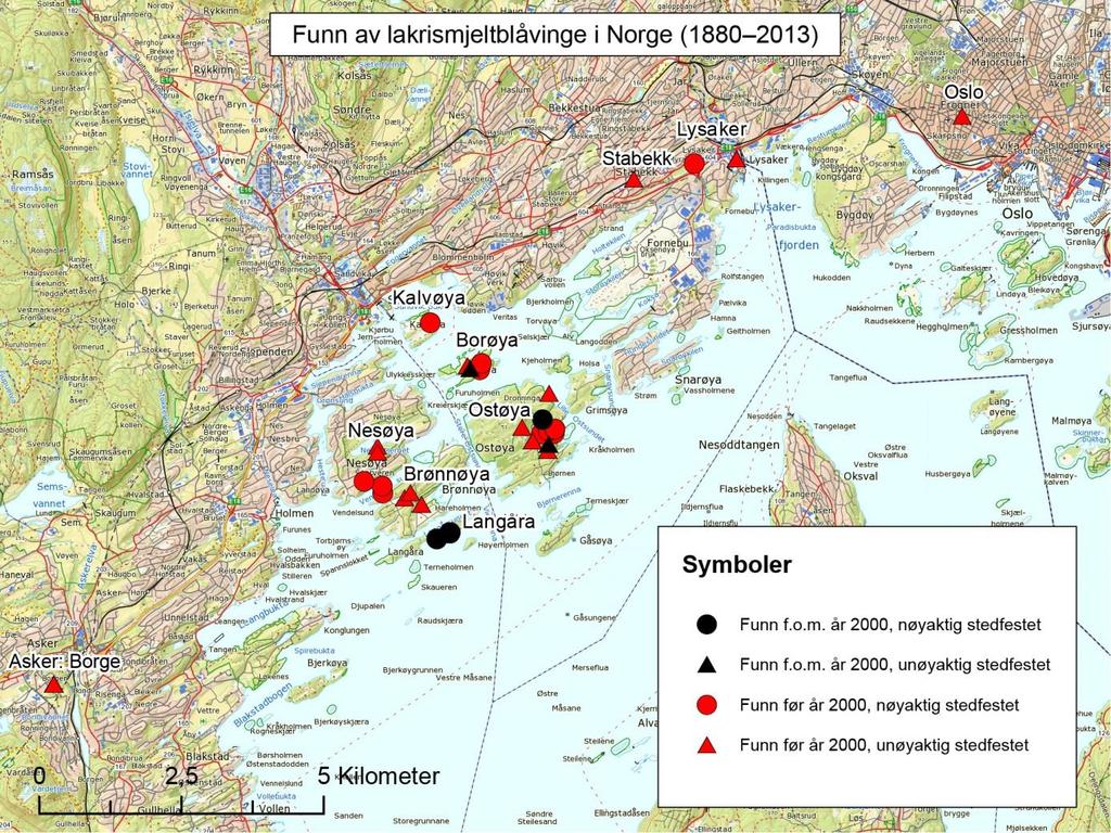 Figur 2. Kart over alle funn av lakrismjeltblåvinge i Norge. Svarte symboler angir funn fra år 2000 eller senere. Røde symboler angir funn fra før år 2000.