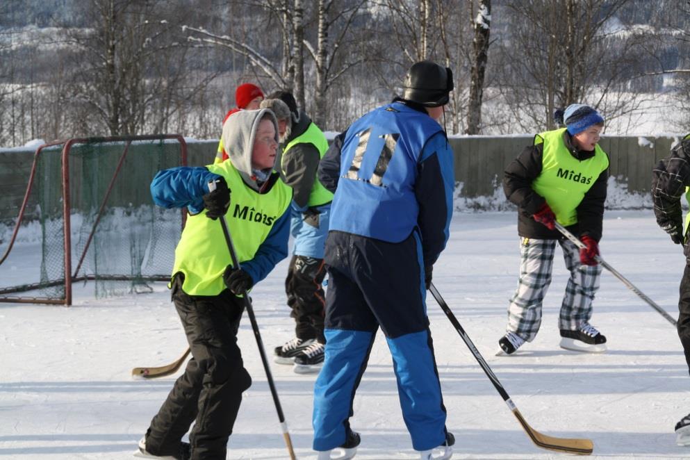 Kan tiltaket overføres til andre? Trinn, skoler, kommuner Hva har dere gjort?