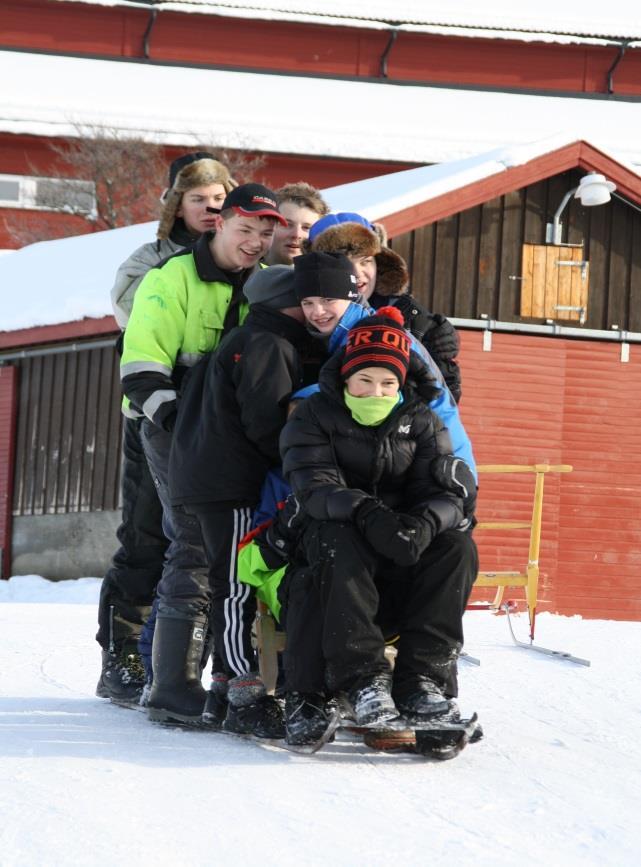 Formålet Formålet med prosjektet er å bidra til