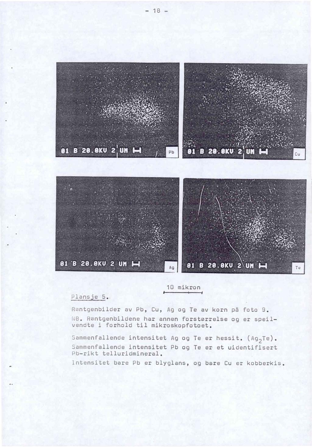 Pb Cu : Ag fl»lansje 5. 10 mikron R:;nteenbilcerav Pb, Cu, Ag og Te av korn på foto 0. intgenbildene har annen forstarrelse og er speilvenate i forhold til mikroskopfotoet.