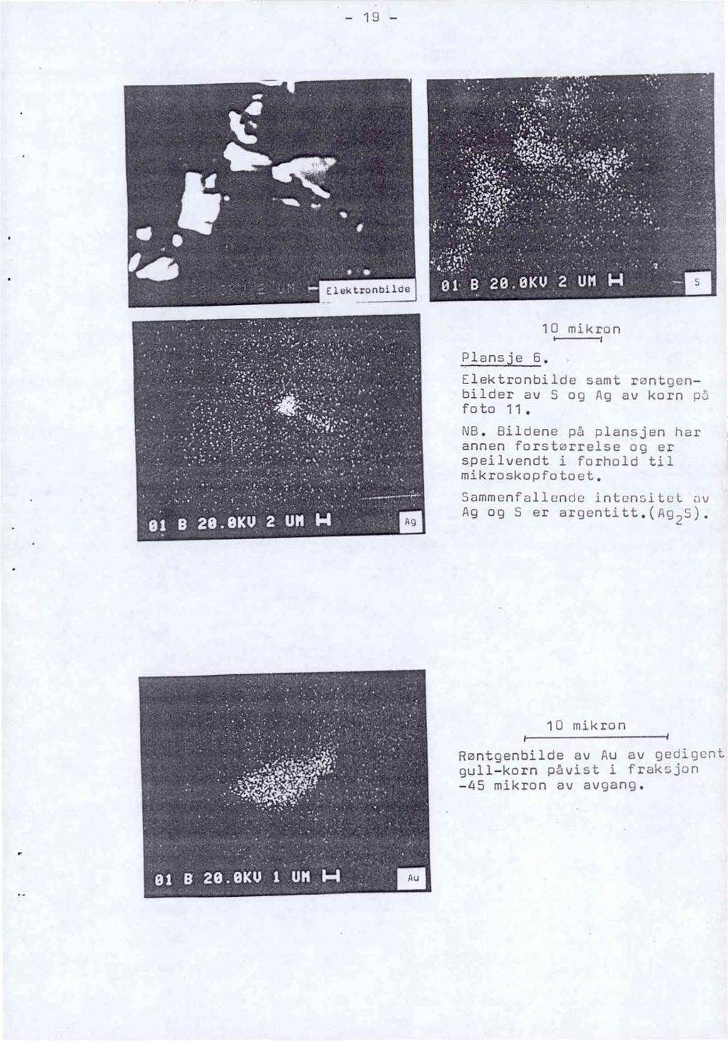 Elektronbilde Plansje 6, 10 mikron Elektronbilde samt rontgenbilder av S og Ag av korn pi foto 11. NB.